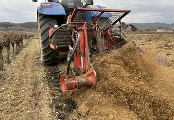 tracteur arrachant des pieds de vigne