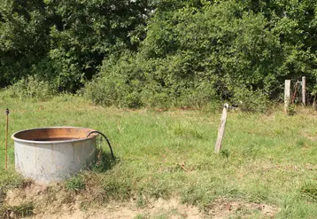 Bac de distribution d'eau dans une pâture pour l'abreuvement des bovins. 