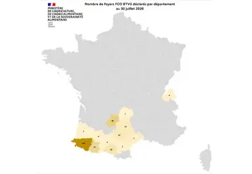 Carte de France des cas de FCO 3 entre début juin et le 30 juillet 2026.  