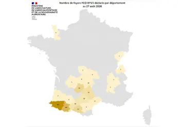 Carte des foyers de la FCO 3