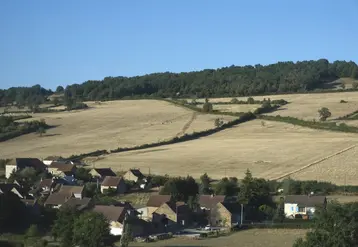 Champs et pâturages impactés par la sécheresse dans le Charolais début août 2026.