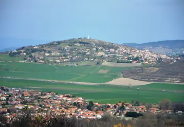   Paysage agricole avec terres et vignes dans le Puy-de-Dôme  
