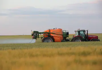 Pulvérisation d'un insecticide et d'un foncidide sur une parcelle de blé