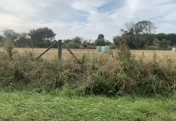 Parcelle agricole touchée par la sécheresse
