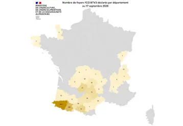 Carte de France des cas de FCO 3 entre début juin et le 17 septembre 2026.  