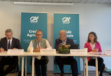 De gauche à droite : Jean-Pierre Touzet, directeur du pôle agri/agro au Crédit agricole, Olivier Desportes, Président du Crédit agricole Bretagne, Benoît Lucas, directeur général du Crédit Agricole du Finistère, et Christelle Doussineau, directrice du marché de l'agriculture au Crédit agricole Bretagne. 