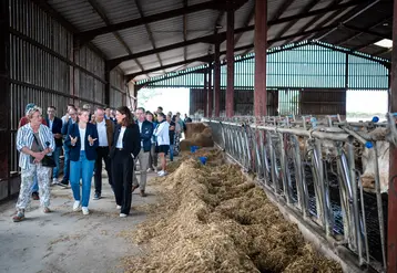 groupe de personnes visitant une étable