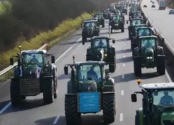Convoi de tracteurs lors des manifestations agricoles de janvier 2024 sur l'autoroute A10