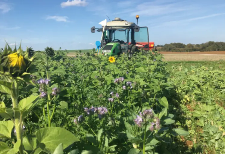 <em class="placeholder">Couvert Biomax en octobre 2022 chez Loïc Bonnot, commune
de Lusans (25), membre du Club Agro Ecos. Il s’agissait d’une plateforme
de comparaison de couverts végétaux ...</em>