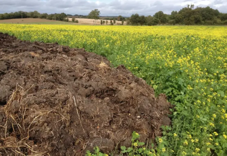 <em class="placeholder">Stockage de fumier dans un champ</em>