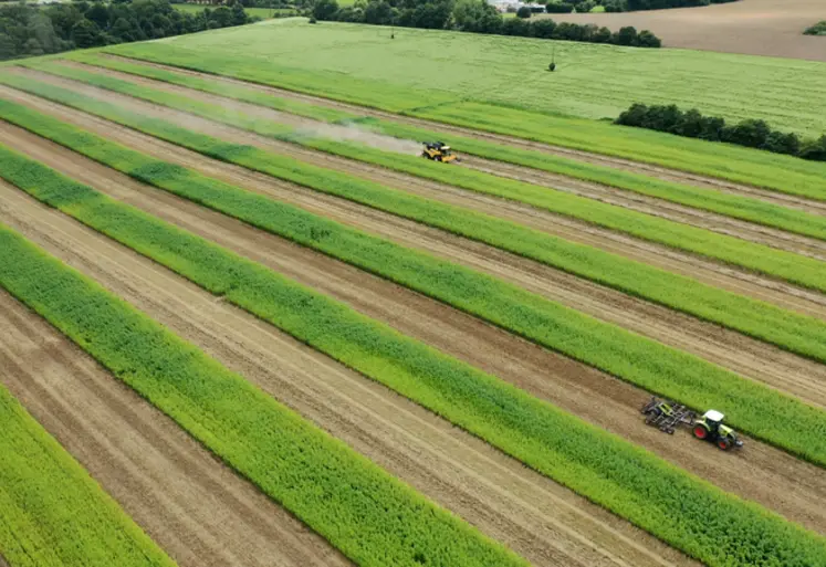 <em class="placeholder">Photographie au drone de la parcelle en bandes de La Conillais. On y voit à la fois la moissonneuse-batteuse et le passage du déchaumeur.</em>