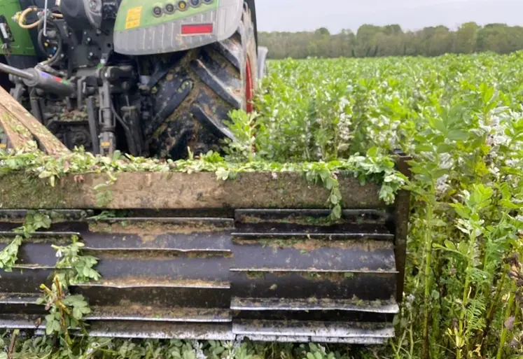<em class="placeholder">La suppression du couvert n’est pas sans impact sur la biodiversité.
Plusieurs moyens sont à votre disposition et c’est tant mieux. Le choix se fera en fonction de bien ...</em>