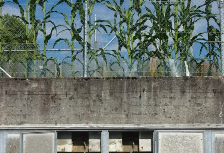 <em class="placeholder">Les lysimètres permettent notamment de mesurer
les pertes en éléments nutritifs par lessivage.</em>