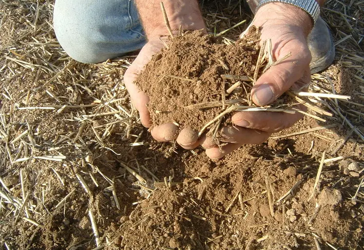 <em class="placeholder">terre et mulch en ACS</em>