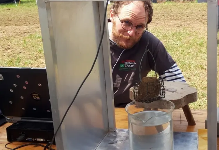 <em class="placeholder">Slake test</em>