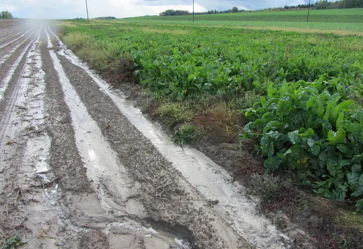 <em class="placeholder">En quelques décennies, on aurait perdu plus de 50 % de la matière organique des sols alors même que toutes les propriétés et les fonctions des sols sont ...</em>