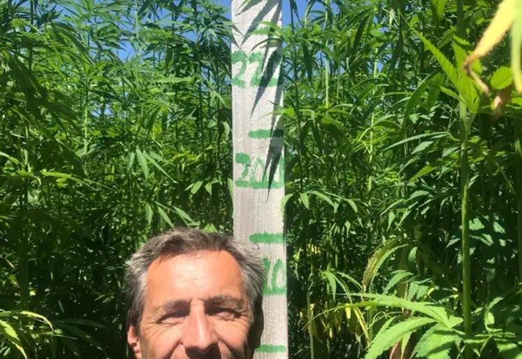 <em class="placeholder">Franck Barbier s’est installé en 2004. En 2010, il introduit le chanvre, une culture qui, si elle dépasse aisément les 2 mètres en hauteur, fait tout autant dans le ...</em>