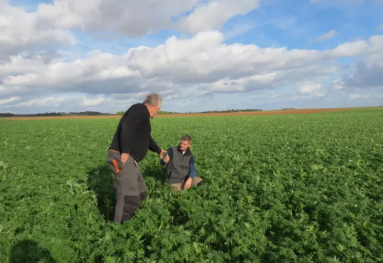 <em class="placeholder">Olivier et Gatien Jeannotin, ACSistes dans le Gatinais</em>