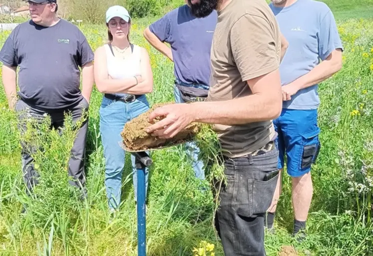 <em class="placeholder">Sylvain Cournet, agronome</em>