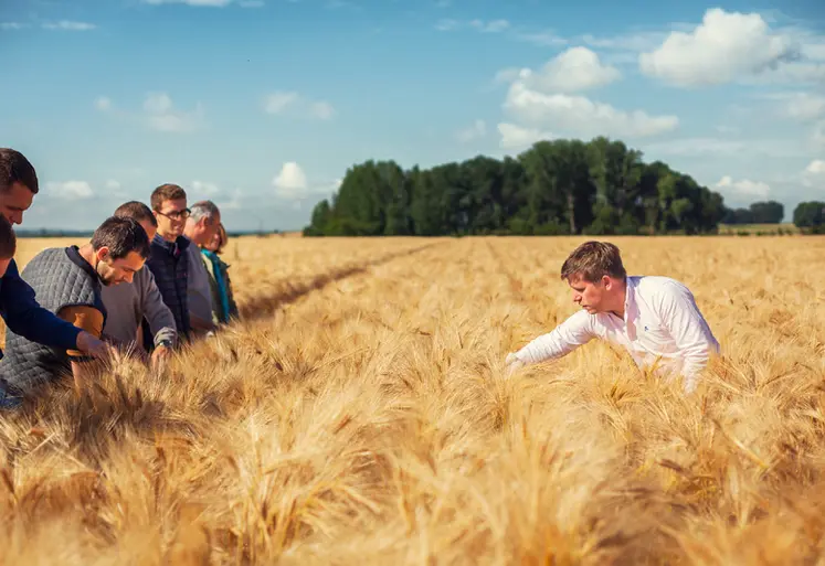 <em class="placeholder">Tour de plaine</em>