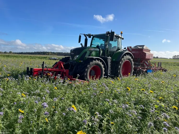 <em class="placeholder">Semis direct d'une céréale dans un couvert végétal</em>