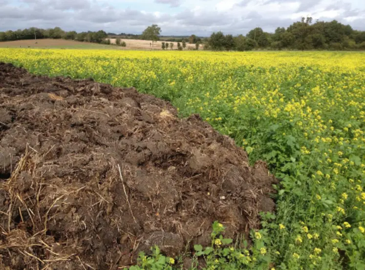 <em class="placeholder">Stockage de fumier dans un champ</em>
