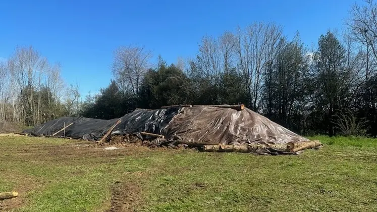 <em class="placeholder">Tas de fumier de bovin bâché à la bâche d’ensilage au mois d’avril chez
Sarah Singla, puis débâché six mois plus tard, prêt à être utilisé.</em>