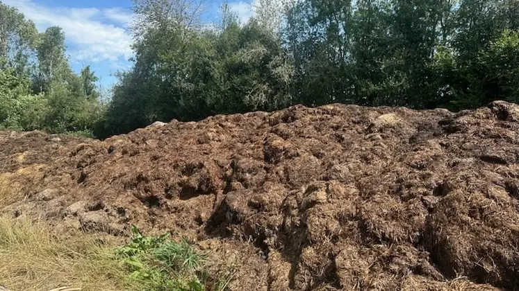 <em class="placeholder">Tas de fumier de bovin bâché à la bâche d’ensilage au mois d’avril chez Sarah Singla, puis débâché six mois plus tard, prêt à être utilisé.</em>