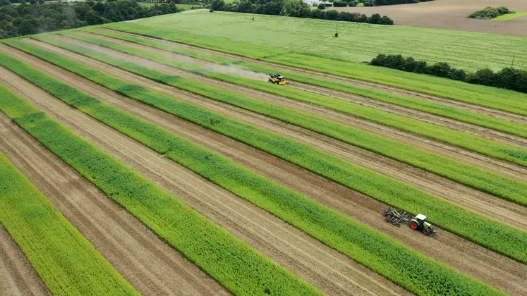 <em class="placeholder">Photographie au drone de la parcelle en bandes de La Conillais. On y voit à la fois la moissonneuse-batteuse et le passage du déchaumeur.</em>