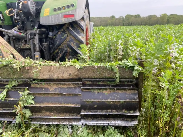 <em class="placeholder">La suppression du couvert n’est pas sans impact sur la biodiversité.
Plusieurs moyens sont à votre disposition et c’est tant mieux. Le choix se fera en fonction de bien ...</em>