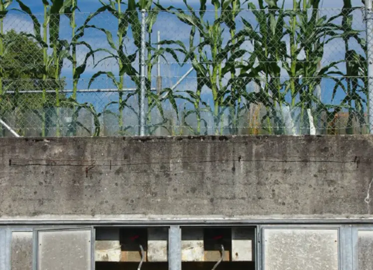 <em class="placeholder">Les lysimètres permettent notamment de mesurer
les pertes en éléments nutritifs par lessivage.</em>