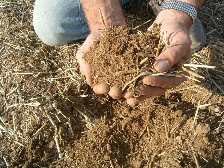 <em class="placeholder">terre et mulch en ACS</em>