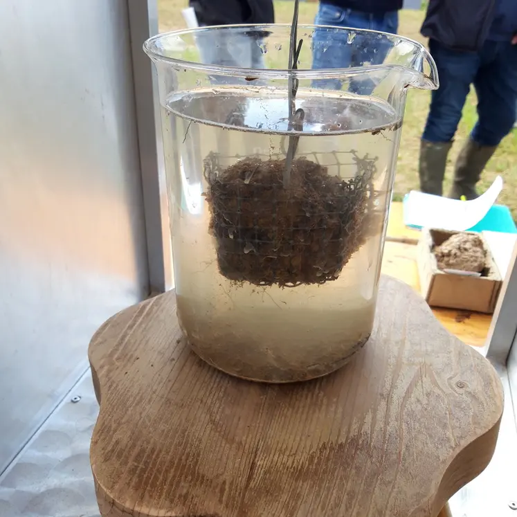 <em class="placeholder">Slake test</em>