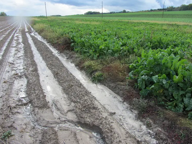 <em class="placeholder">En quelques décennies, on aurait perdu plus de 50 % de la matière organique des sols alors même que toutes les propriétés et les fonctions des sols sont ...</em>