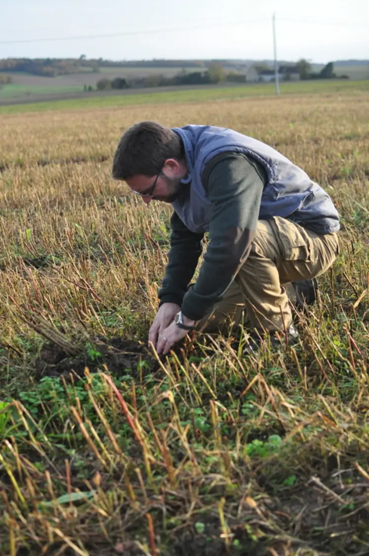 <em class="placeholder">Frédéric Barbot, 360 hectares en Indre-et-Loire. « L’ABC est une histoire de compromis. Je travaille encore un peu le sol mais avec le moins d’impact possible. La ...</em>