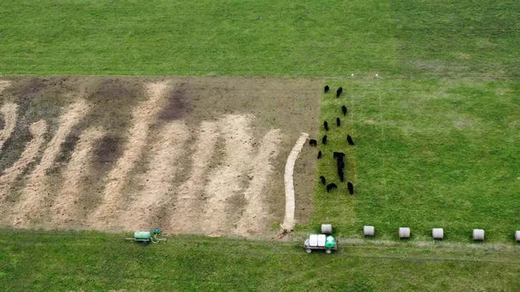 <em class="placeholder">En hiver, certains couloirs sont utilisés pour le « bale grazing ». Après les vaches Angus et les brebis, des poulets, en système de poulailler mobile, finissent même ...</em>