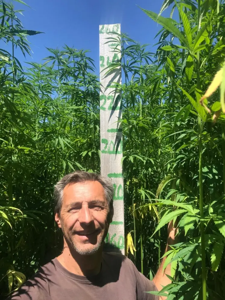 <em class="placeholder">Franck Barbier s’est installé en 2004. En 2010, il introduit le chanvre, une culture qui, si elle dépasse aisément les 2 mètres en hauteur, fait tout autant dans le ...</em>