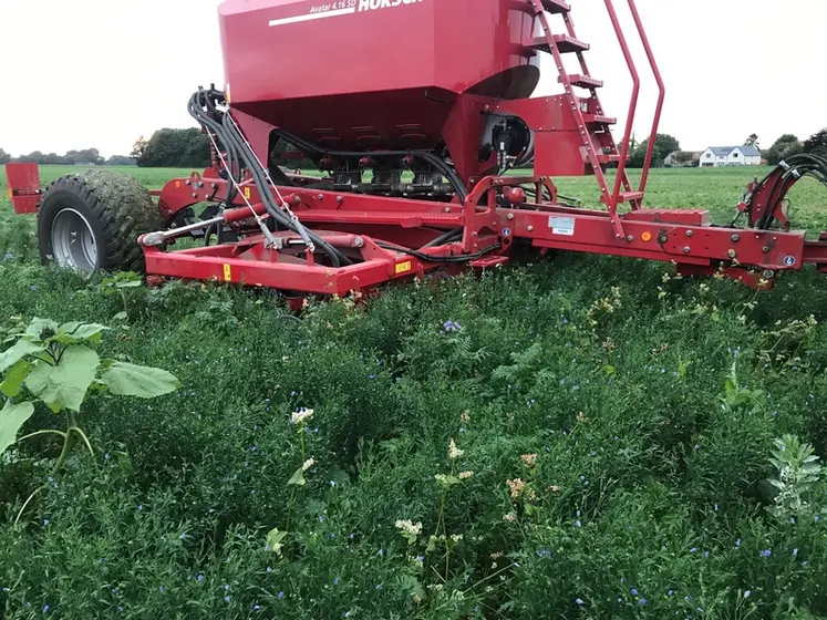 <em class="placeholder">Semis direct dans un couvert végétal</em>