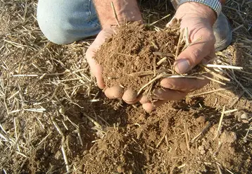 <em class="placeholder">terre et mulch en ACS</em>