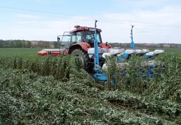 <em class="placeholder">Semis direct de maïs dans un couvert de féverole. </em>