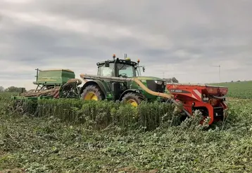 <em class="placeholder">La décomposition du couvert entraînerait une croissance d’activité biologique pendant le printemps qui doit mobiliser de la fertilité et entre autres de l’azote avant ...</em>