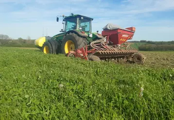 <em class="placeholder">Le mulchage de surface est aujourd’hui en ABC une des pratiques les plus répandues et maîtrisées. Elle permet de sortir d’un couvert ou de résidus enherbés sans ...</em>