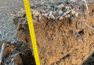 <em class="placeholder">Profil de sol chez Guillaume Richard : des boulbènes profondes de 70 à 90 cm.</em>