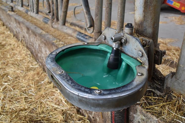 Les procédés nécessaires à la désinfection de l'eau de pluie avant l'abreuvement des animaux sont encore trop onéreux aujourd'hui.