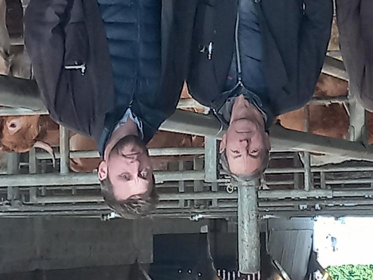 Pascal Veille et Teddy Hurteloup commercialisent environ 400 bovins par semaine, allant du veau de 15 jours au broutard en passant par les bêtes à viande.