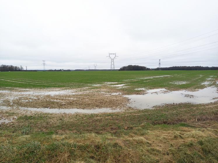 Les excès d’eau entrainent une destruction par hydromorphie importante des cultures d’automne dans le département, comme ici à Rouziers-de-Touraine la semaine dernière.