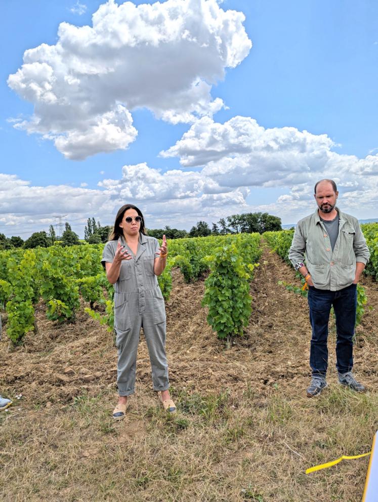 Les vins du domaine Huet sont régulièrement salués par la critique, en France et à l’étranger.