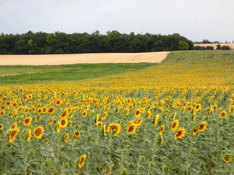 L’indice national des fermages s'établit pour 2025 à 123,06. Ainsi, il augmente de 0,42 % par rapport à l'année 2024.