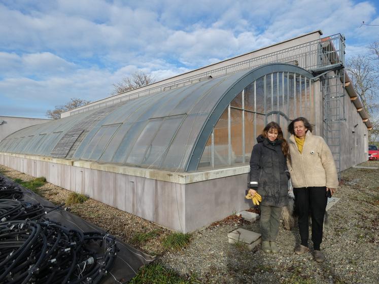 La serre est orientée plein sud et l'atelier de transformation au nord. ©C.T