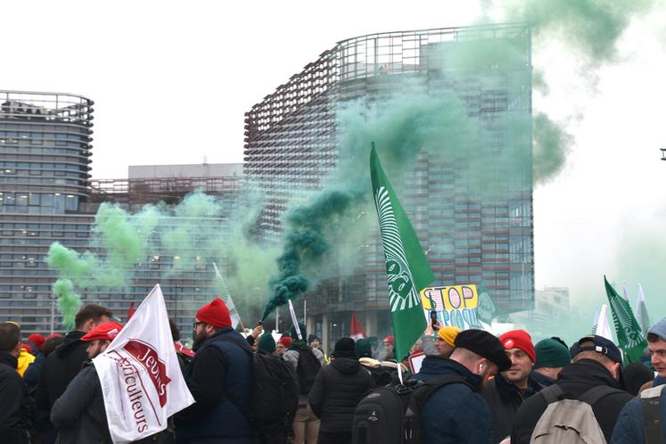Marrée humaine et de drapeaux devant le Parlement européen. ©B.R